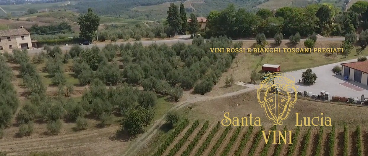 Vini Rossi Toscani
