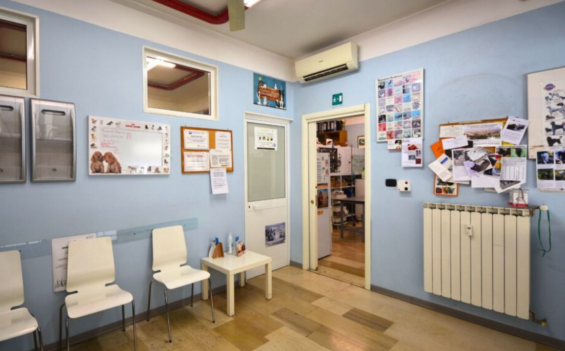 Veterinari Firenze