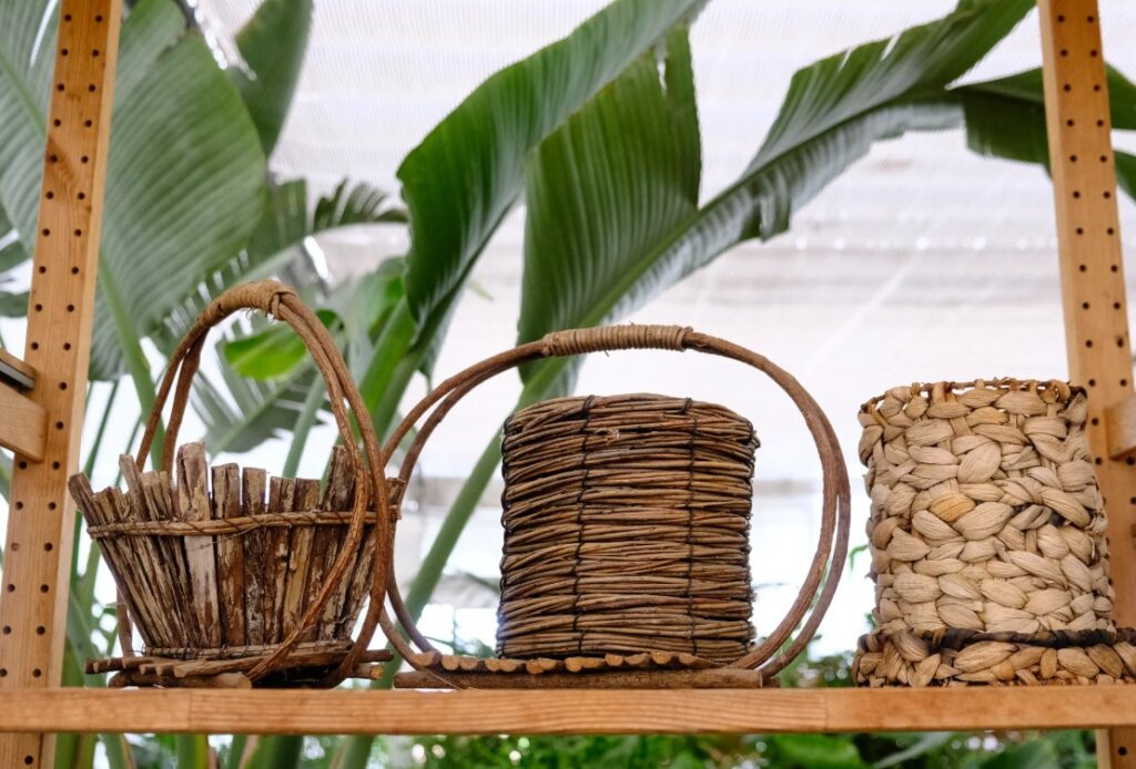 Progettazione Giardini Firenze