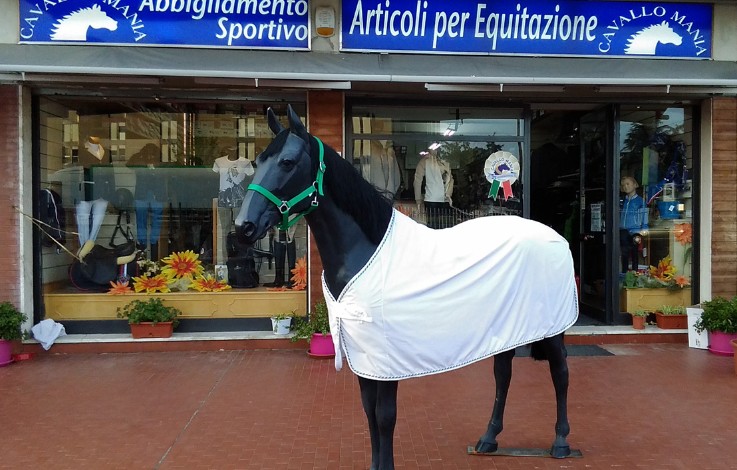 Articoli per Equitazione